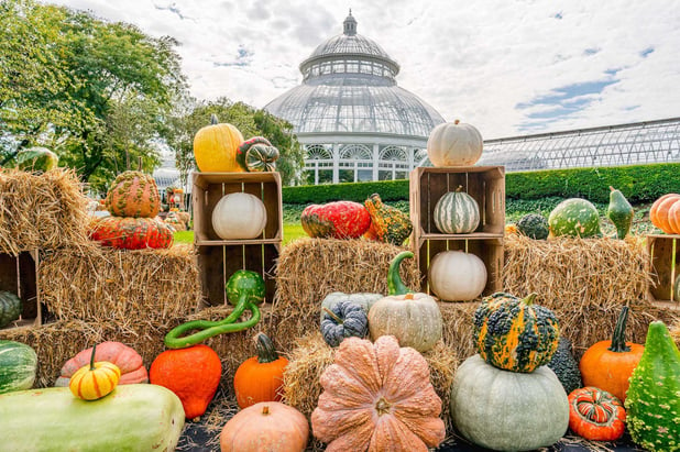 NYBG-Great-Pumpkin-Path